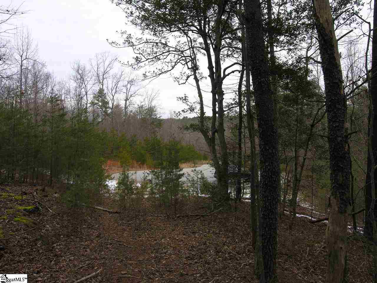 Lot 22 Roco Trail Travelers Rest, SC 29690 - Photo 9 of 10 Gallery Image 9