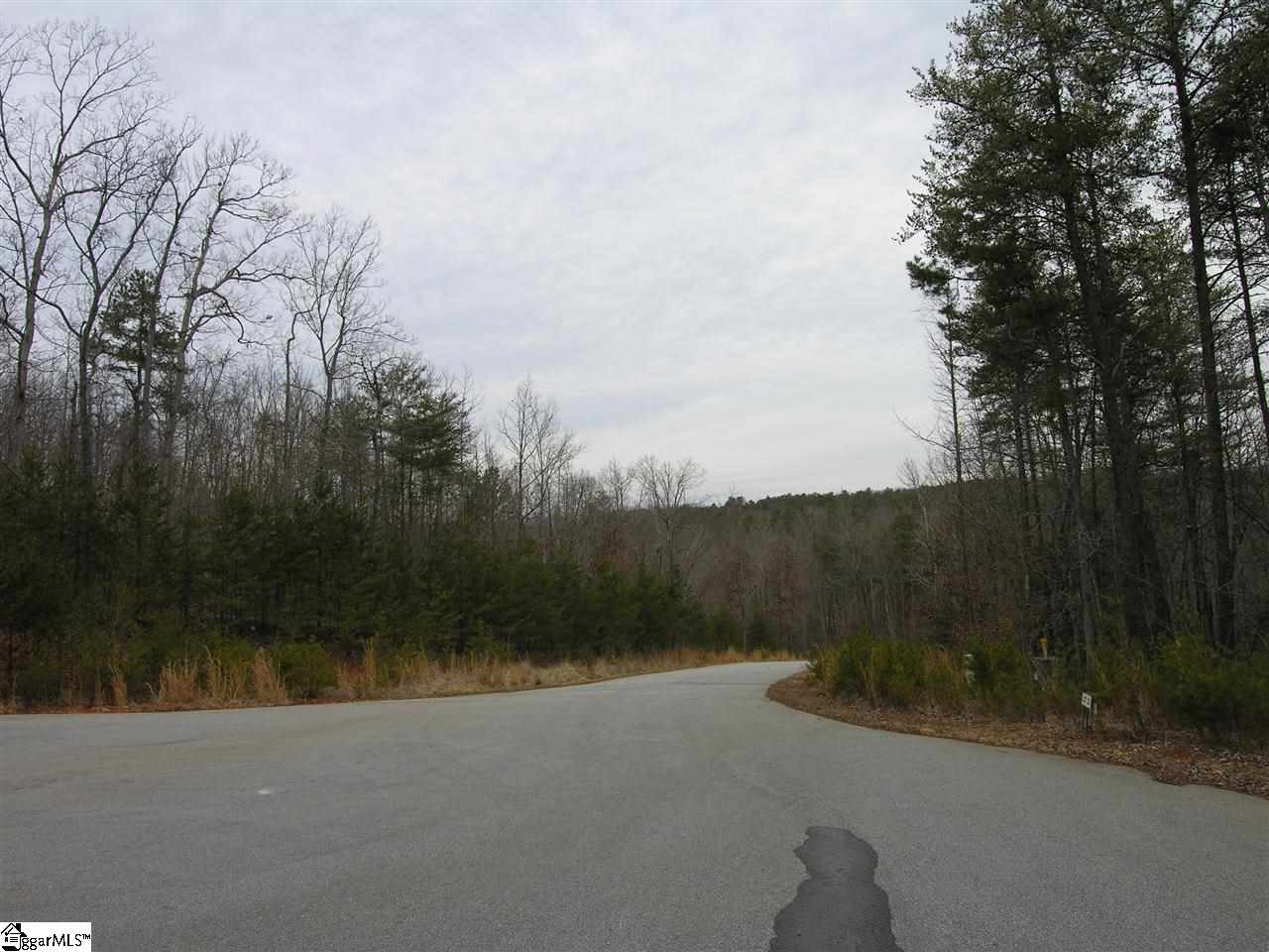 Lot 22 Roco Trail Travelers Rest, SC 29690 - Photo 10 of 10 Gallery Image 10