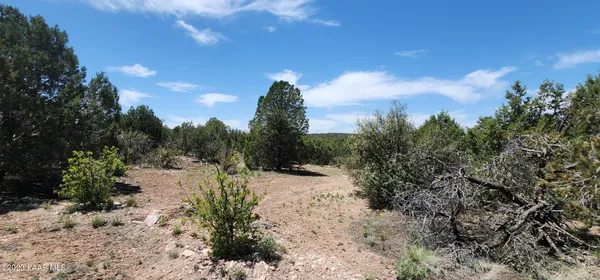a view of a large yard with lots of green space
