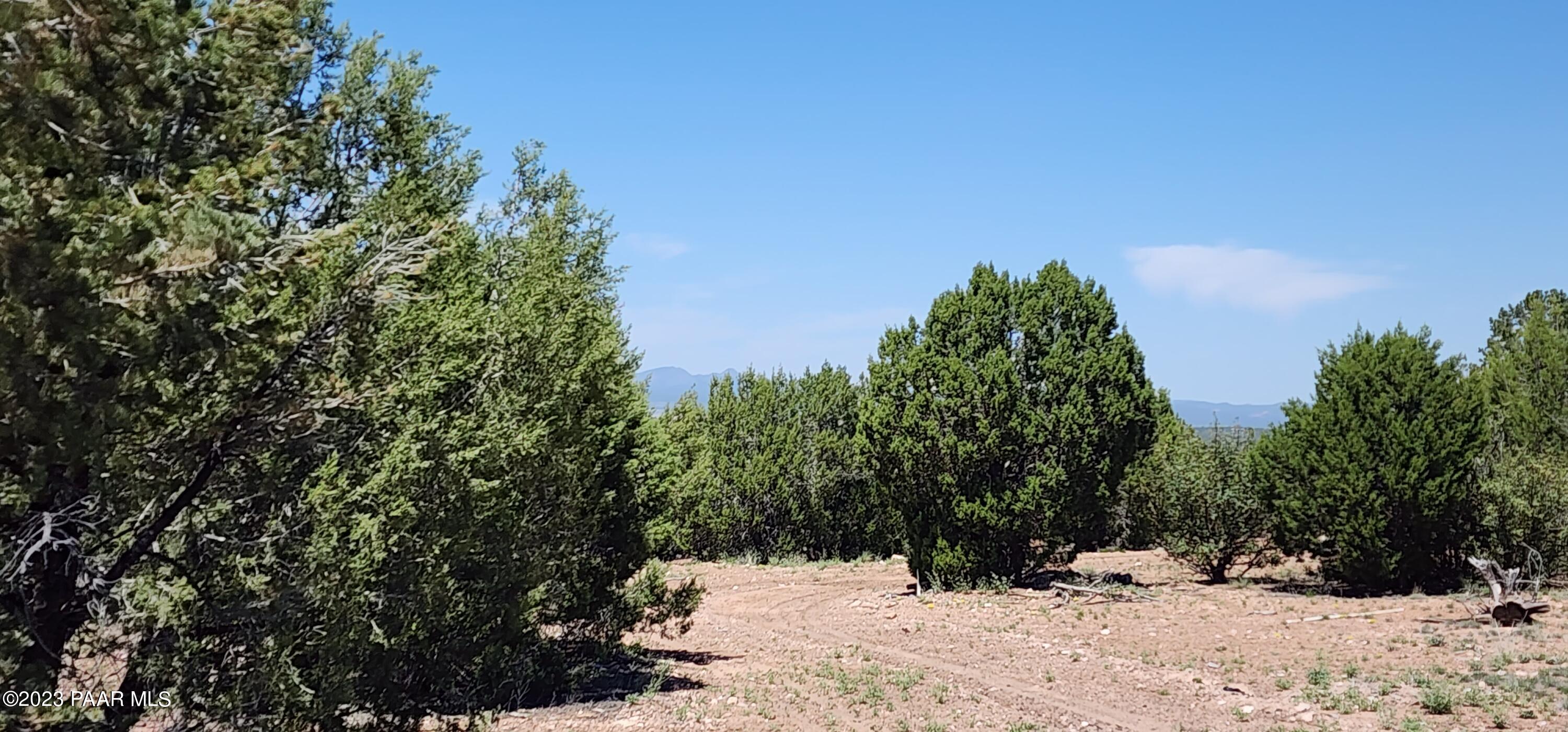 Lot 13 Ranch And Cattle Ash Fork Ash Fork, AZ 86320 - Photo 13 of 29 a view of snow covered with trees