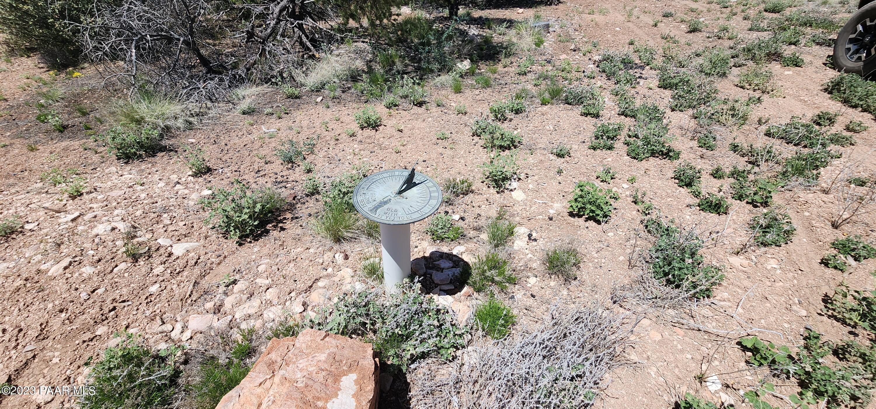 Lot 13 Ranch And Cattle Ash Fork Ash Fork, AZ 86320 - Photo 14 of 29 a view of plant in a yard