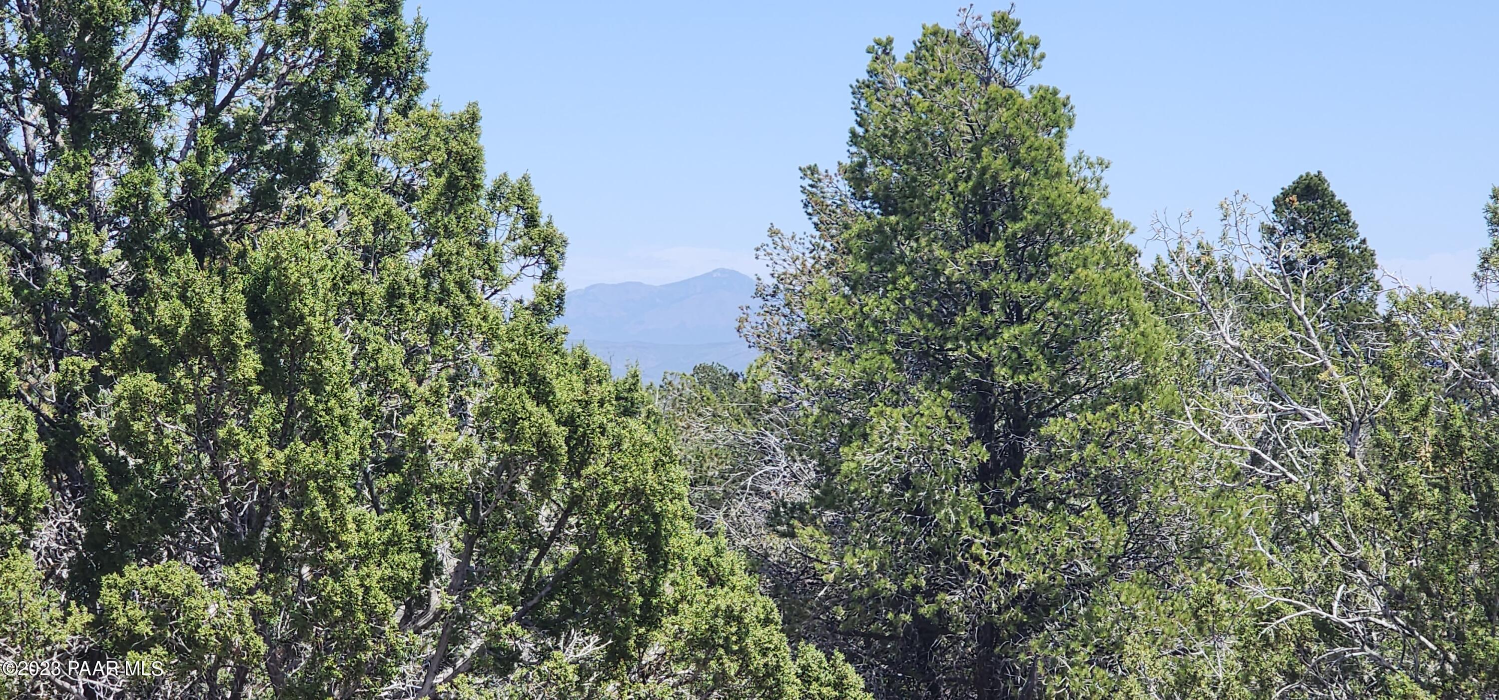 Lot 13 Ranch And Cattle Ash Fork Ash Fork, AZ 86320 - Photo 18 of 29 a view of a house with a tree