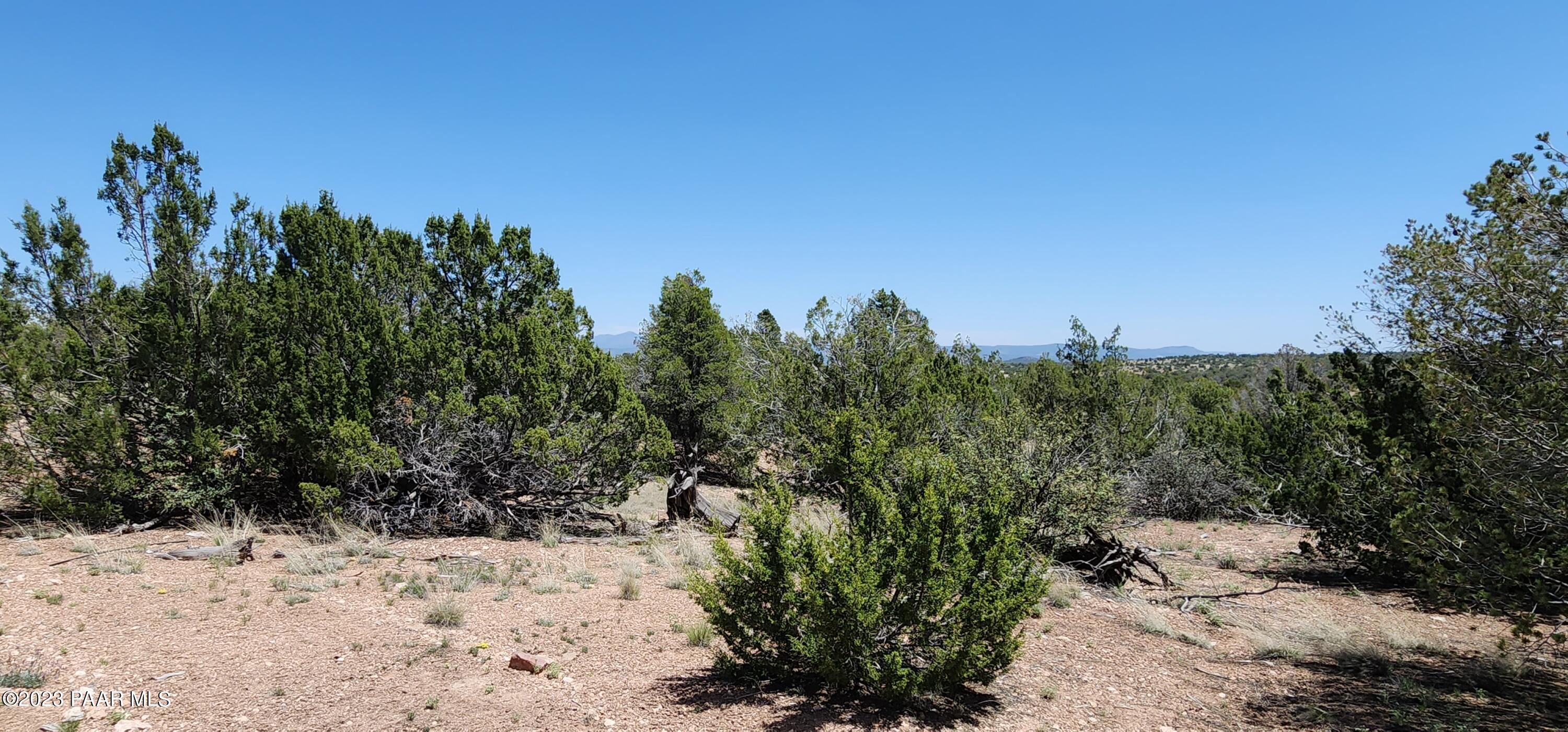 Lot 13 Ranch And Cattle Ash Fork Ash Fork, AZ 86320 - Photo 19 of 29 a view of a yard with a tree in the background