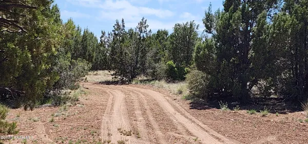 a view of a yard covered in snow