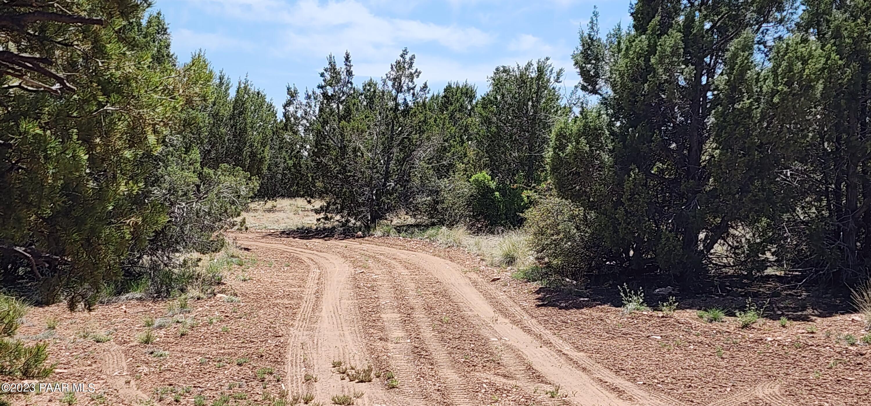 Lot 13 Ranch And Cattle Ash Fork Ash Fork, AZ 86320 - Photo 22 of 29 a view of a yard covered in snow