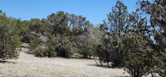 a view of outdoor space and covered with trees