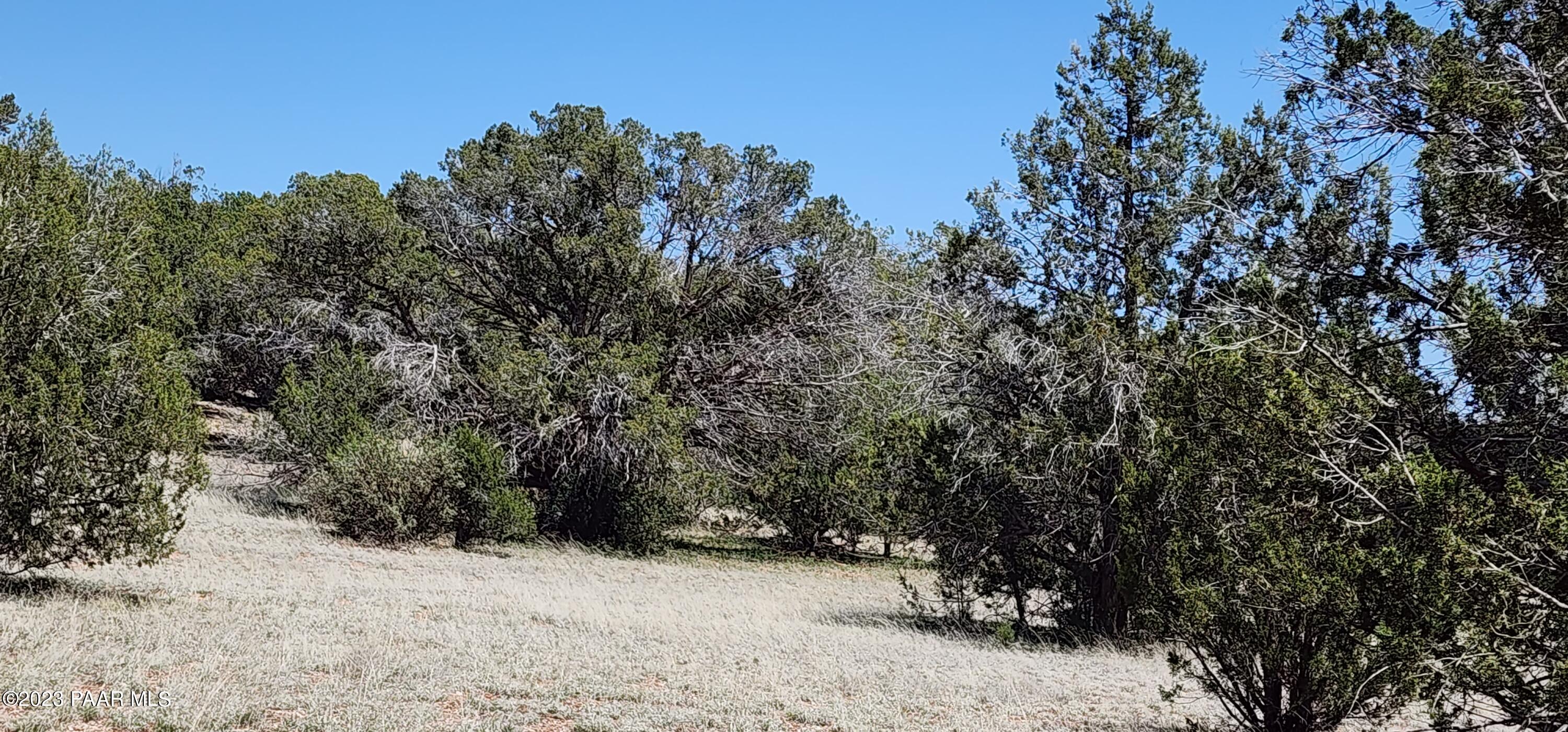 Lot 13 Ranch And Cattle Ash Fork Ash Fork, AZ 86320 - Photo 25 of 29 a view of outdoor space and covered with trees