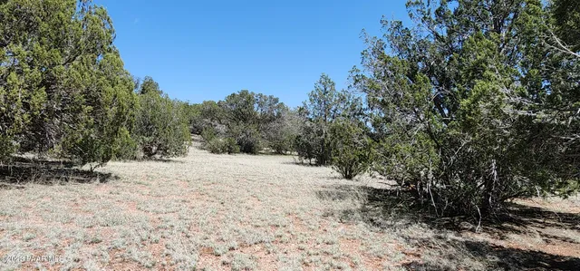 a view of a yard with wooden fence