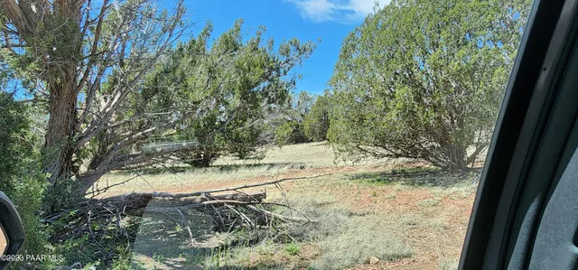 a view of a yard covered in snow