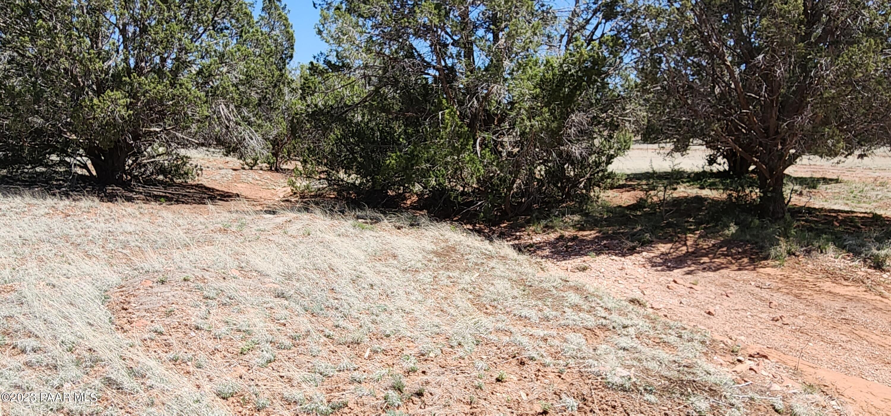 Lot 13 Ranch And Cattle Ash Fork Ash Fork, AZ 86320 - Photo 28 of 29 a view of a yard covered in snow