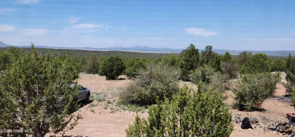 a view of a yard with plants and a bench