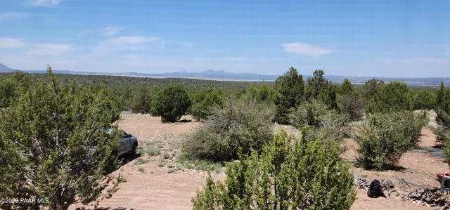 a view of a yard with plants and a bench