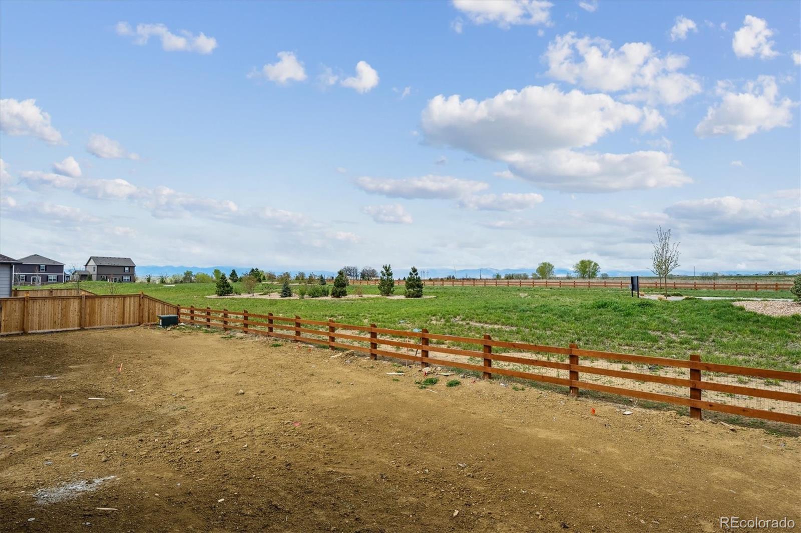 4115 Marble Drive Mead, CO 80504 - Photo 15 of 23