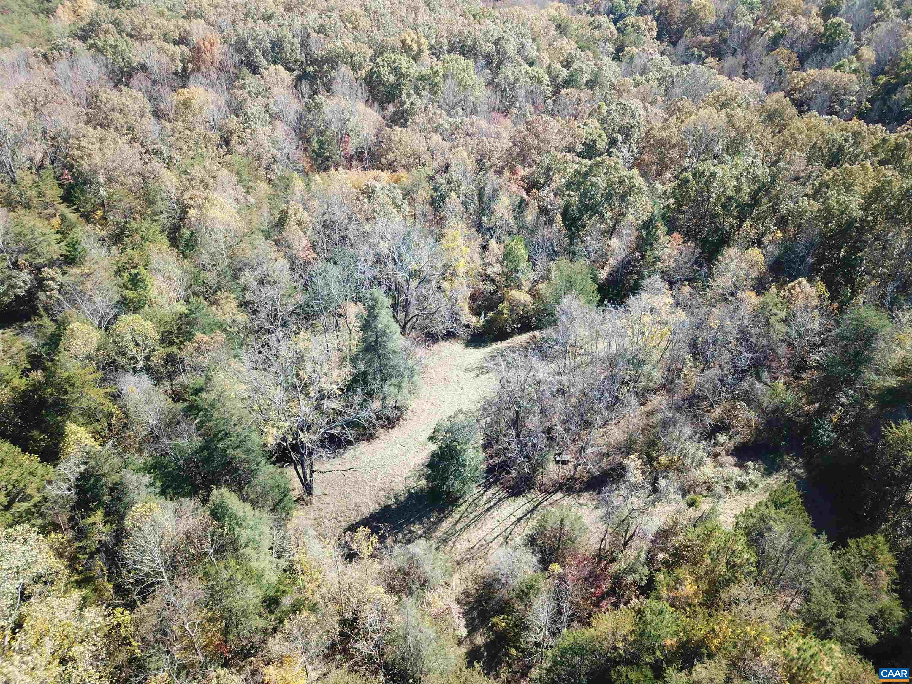 0 Grandmas Hill Road Amherst, VA 24521 - Photo 5 of 69 a view of a forest with trees