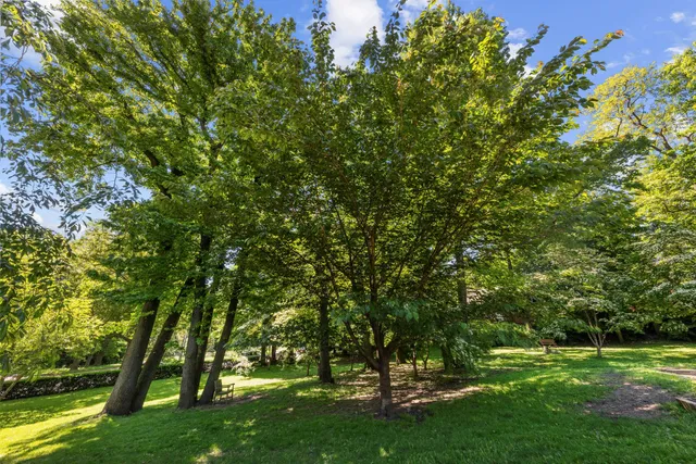 a view of outdoor space with a park
