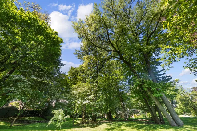 a backyard of a house with lots of green space