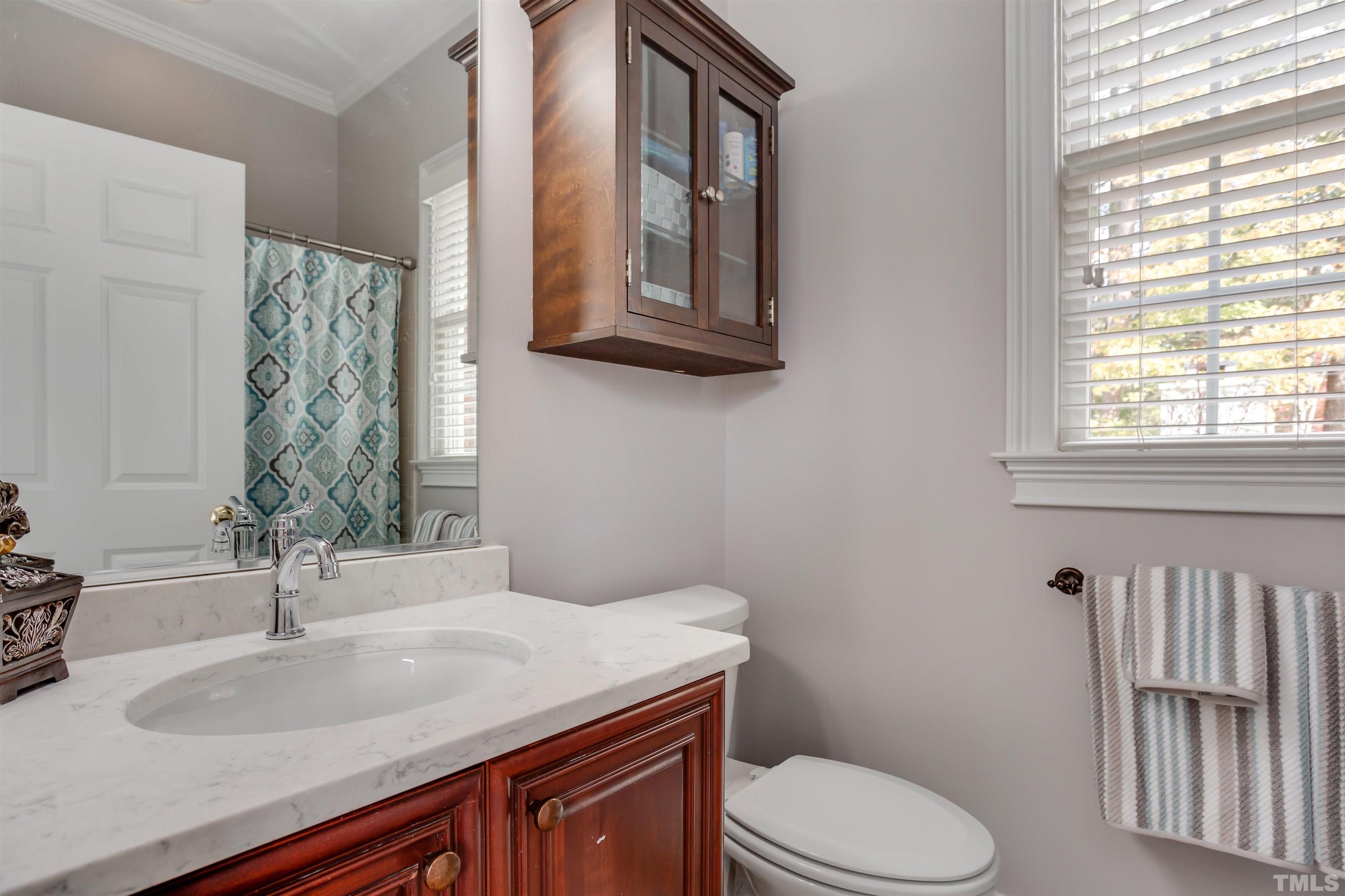 11313 Ridgegate Drive Raleigh, NC 27617 - Photo 45 of 82 a bathroom with a granite countertop toilet sink and mirror