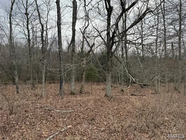 $229,800 | 2-3 Off Madison 248, Fredericktown, MO 63645