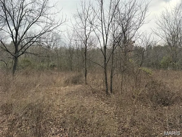 $229,800 | 2-3 Off Madison 248, Fredericktown, MO 63645