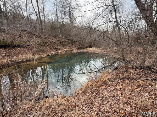 $229,800 | 2-3 Off Madison 248, Fredericktown, MO 63645