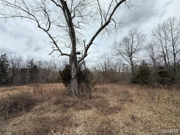 $229,800 | 2-3 Off Madison 248, Fredericktown, MO 63645