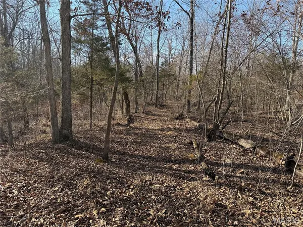 $229,800 | 2-3 Off Madison 248, Fredericktown, MO 63645