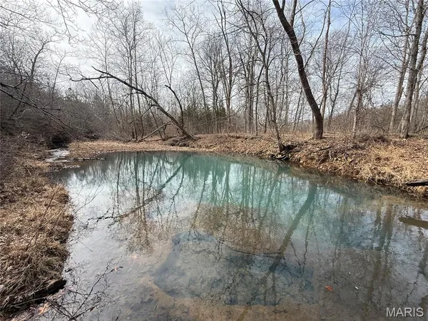 $229,800 | 2-3 Off Madison 248, Fredericktown, MO 63645