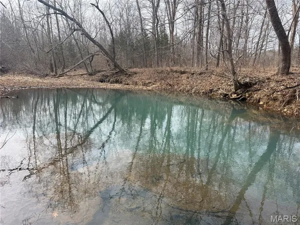 $229,800 | 2-3 Off Madison 248, Fredericktown, MO 63645