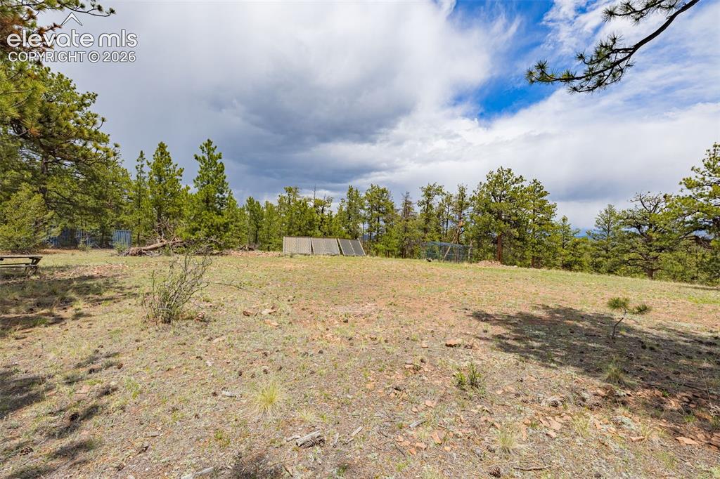 4250 Doe Valley Road Guffey, CO 80820 - Photo 18 of 35