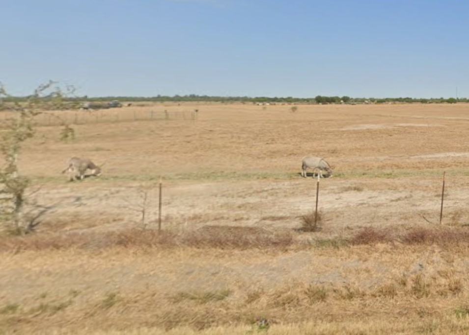 37070 Bell Road Hempstead, TX 77445 - Photo 4 of 5