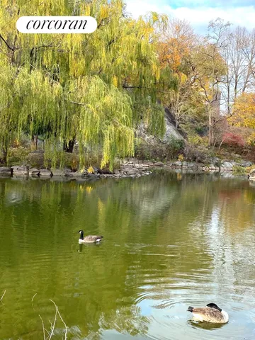 $550,000 | 250 Manhattan Avenue, Unit 1A | Harlem