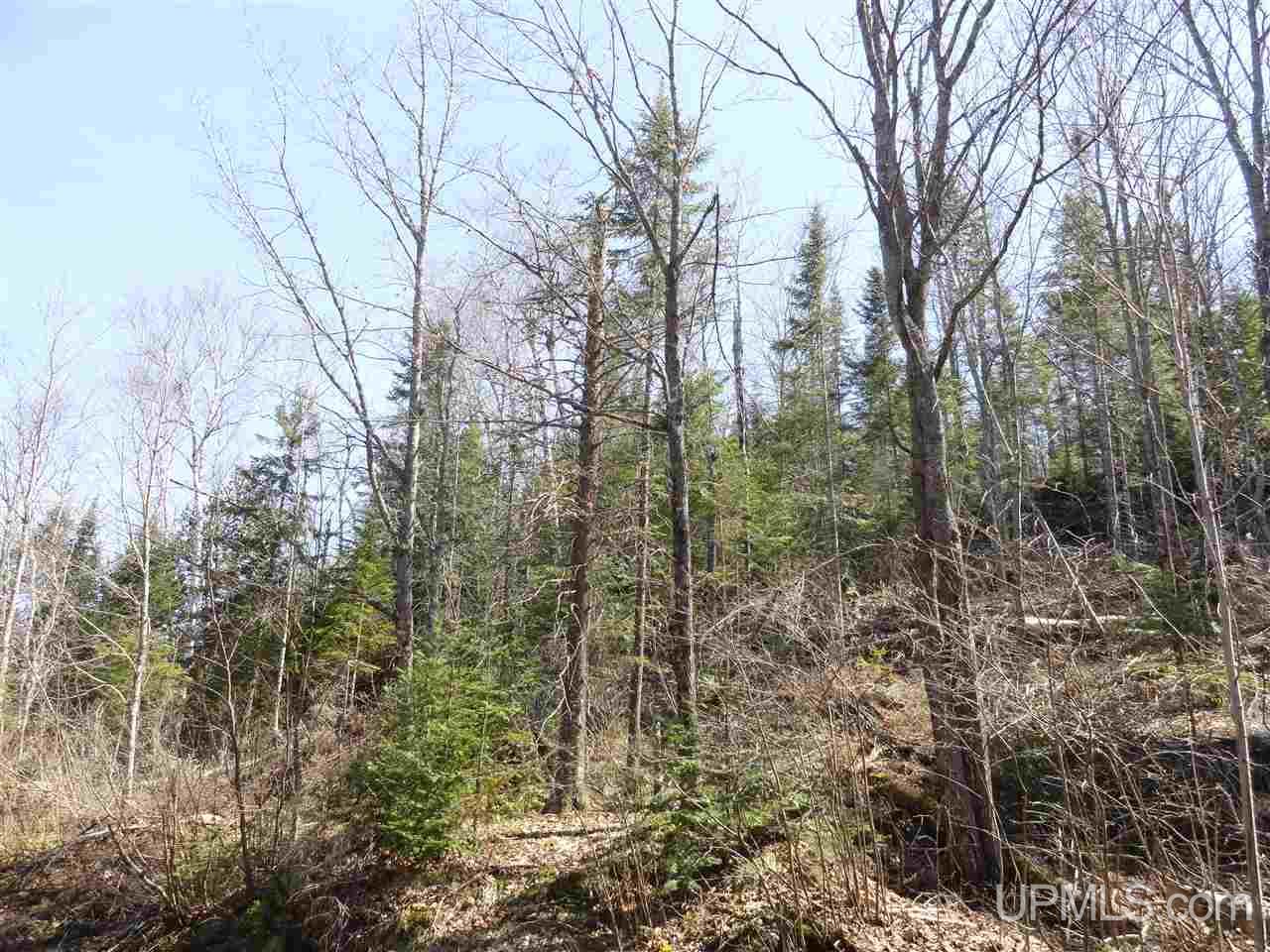 68-acres Peshekee Grade Road Skanee, MI 49861 - Photo 7 of 14