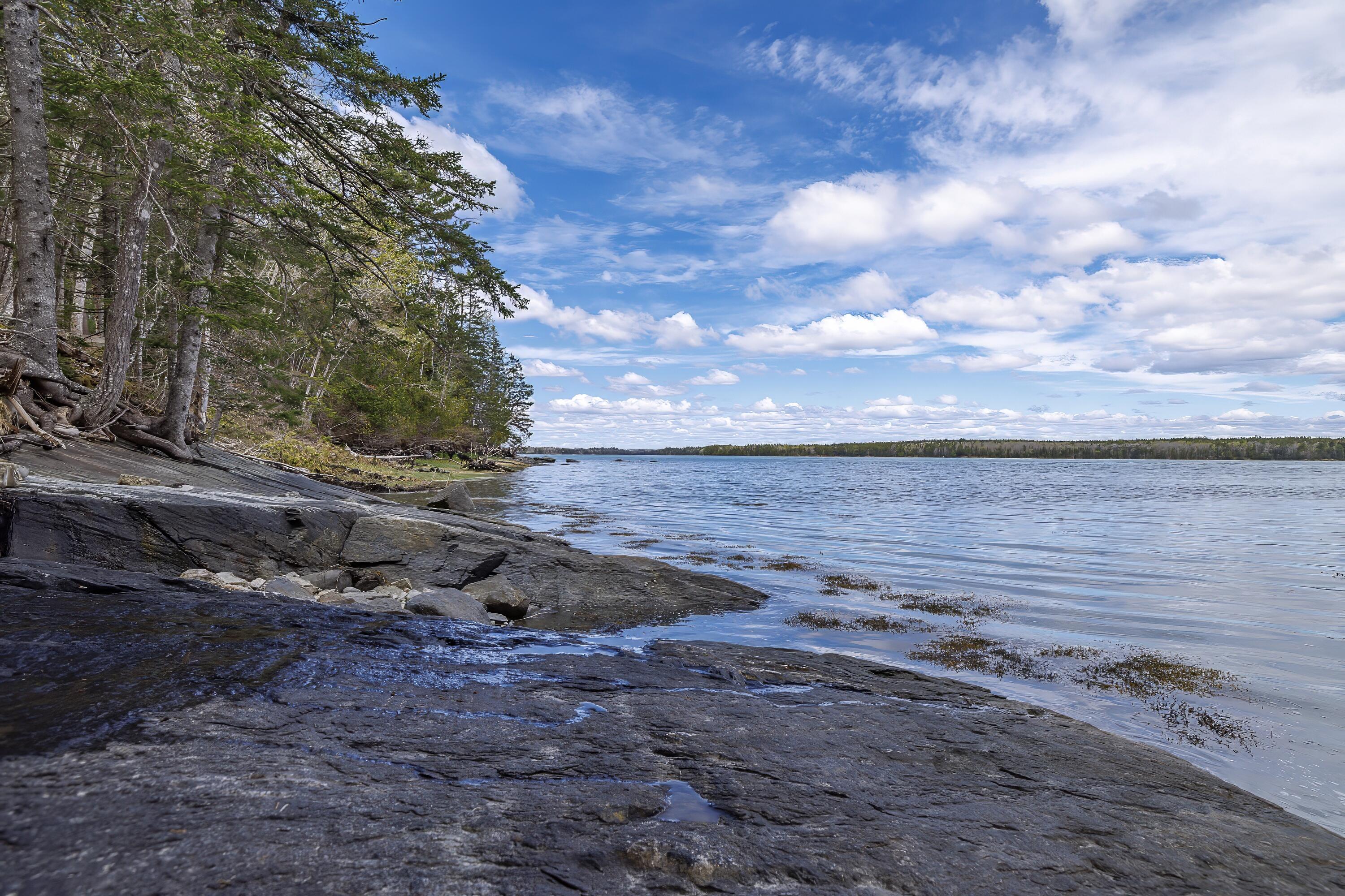 373 Seal Point Road Lamoine, ME 04605 - Photo 53 of 61 93-373 Seal Point Road HiRes-DTP
