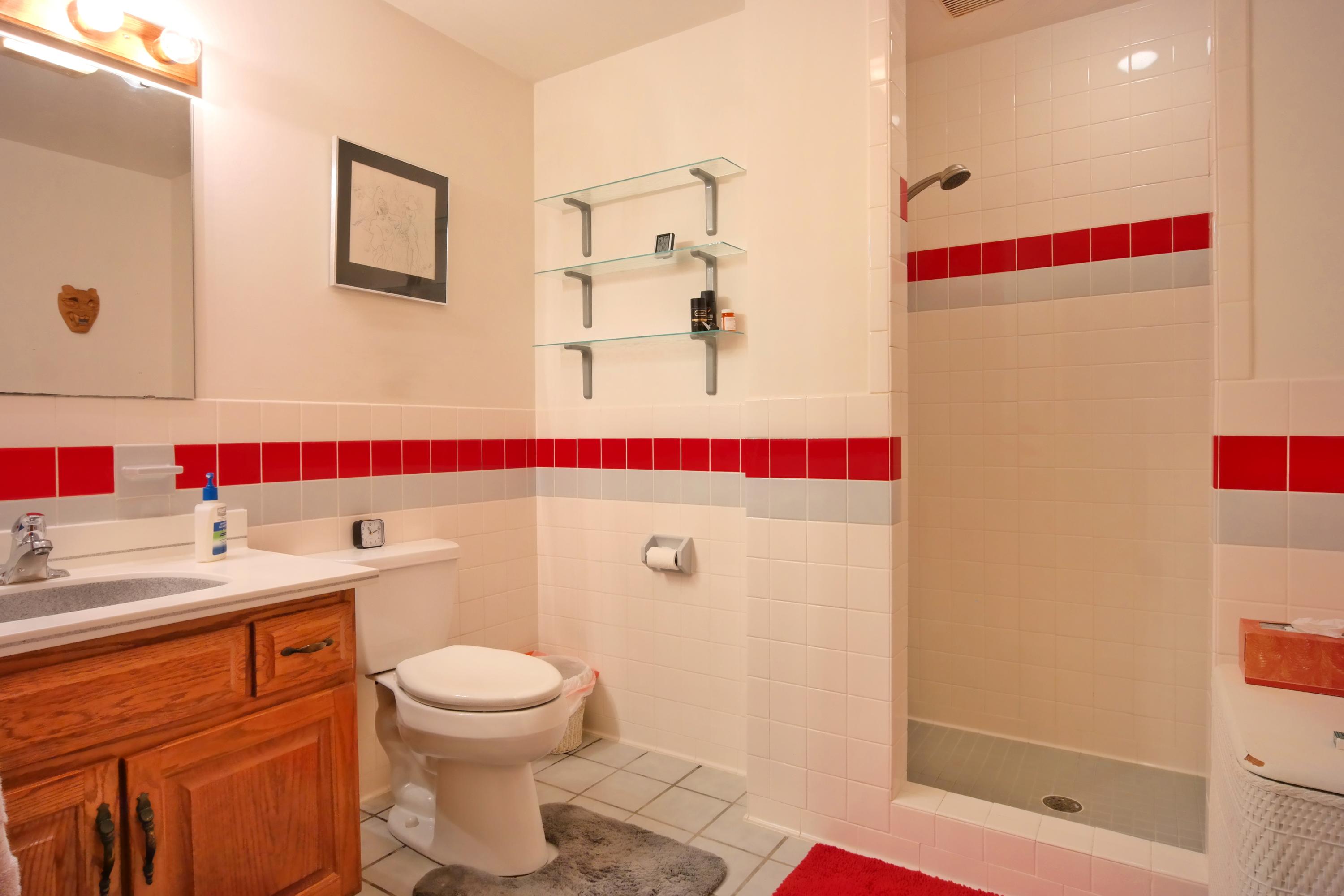 822 Sprinkle Road Fincastle, VA 24090 - Photo 30 of 55 Master Bath