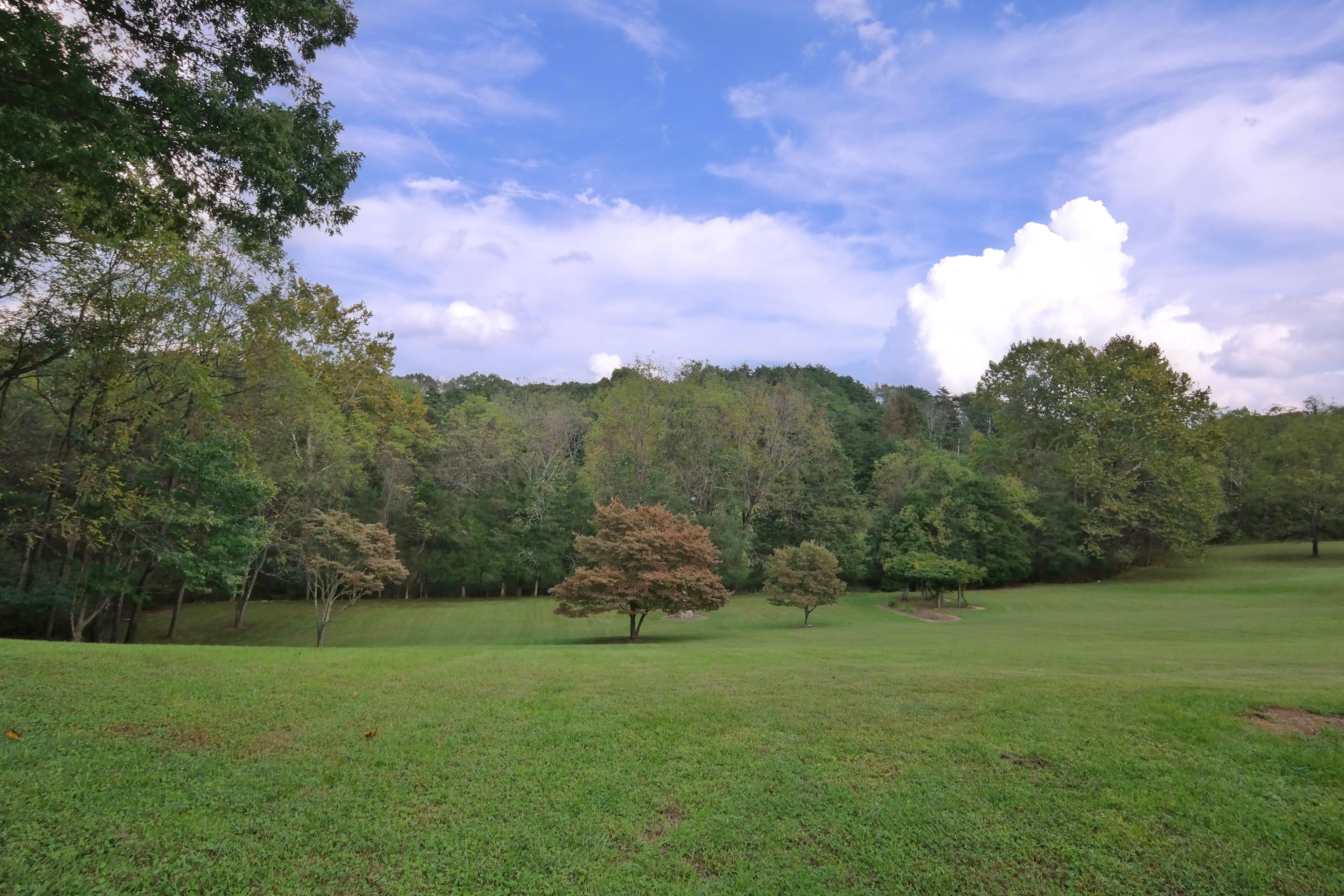 822 Sprinkle Road Fincastle, VA 24090 - Photo 46 of 55 Yard