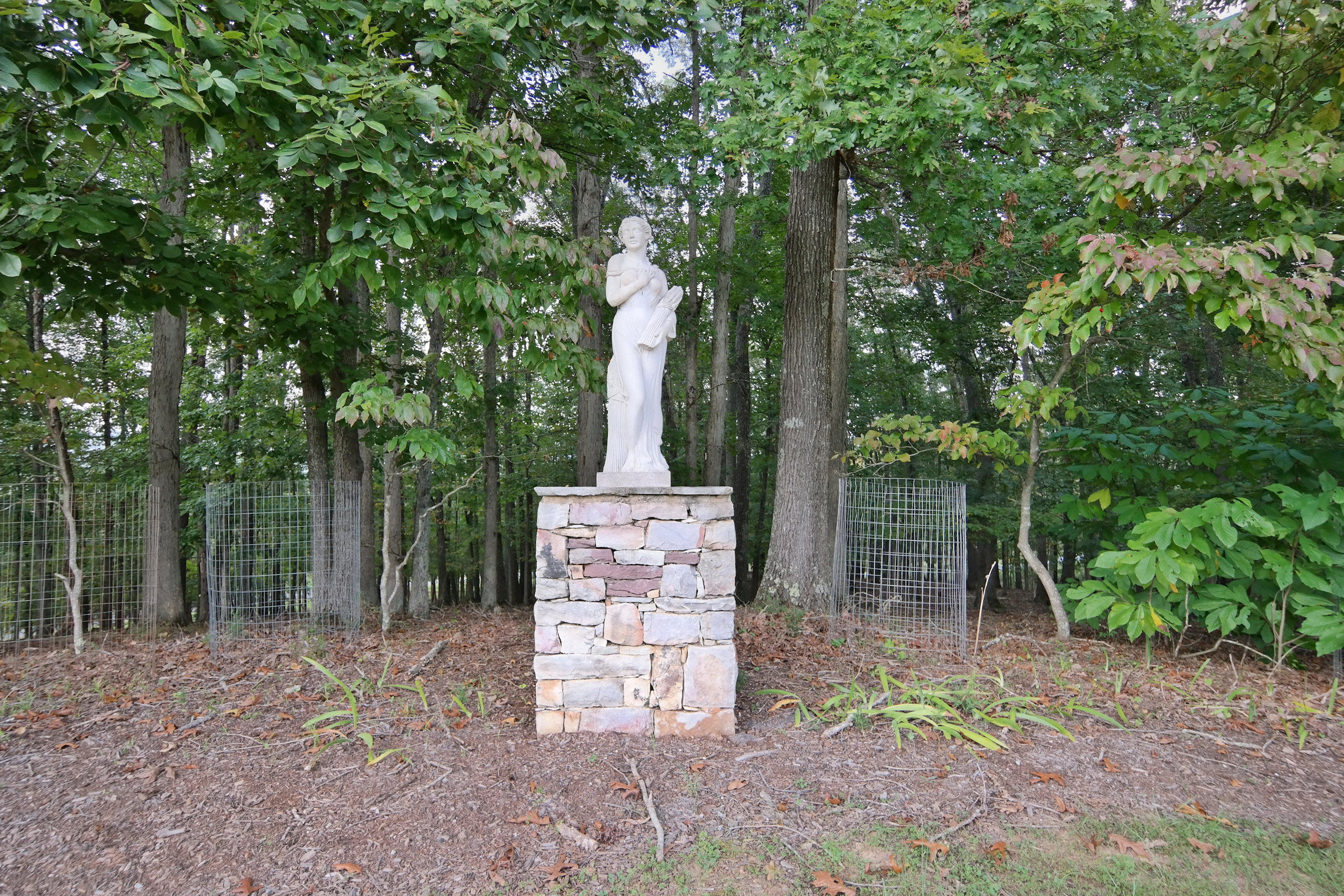 822 Sprinkle Road Fincastle, VA 24090 - Photo 50 of 55 Yard