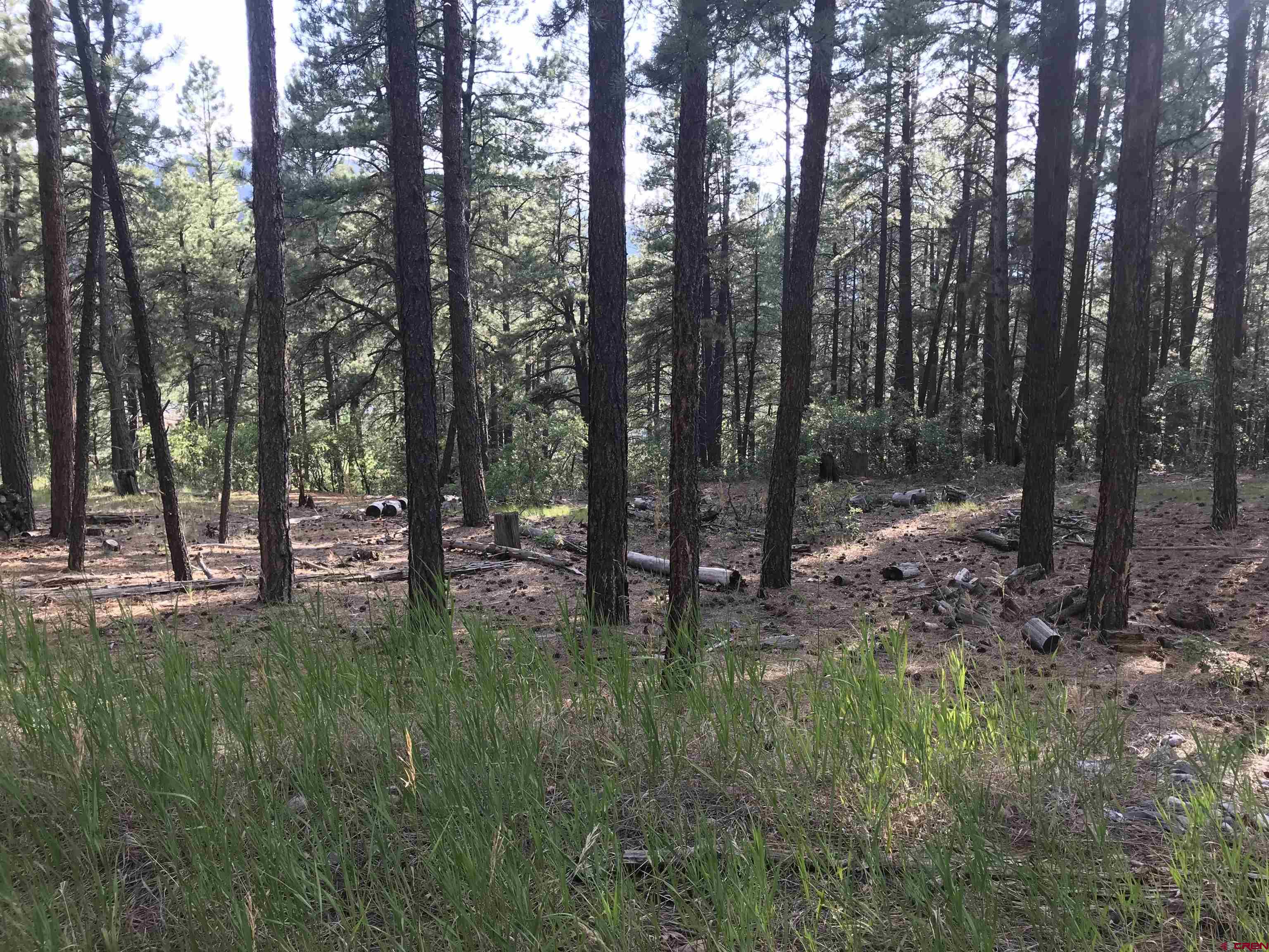 99 Pine Cone Circle Bayfield, CO 81122 - Photo 12 of 14