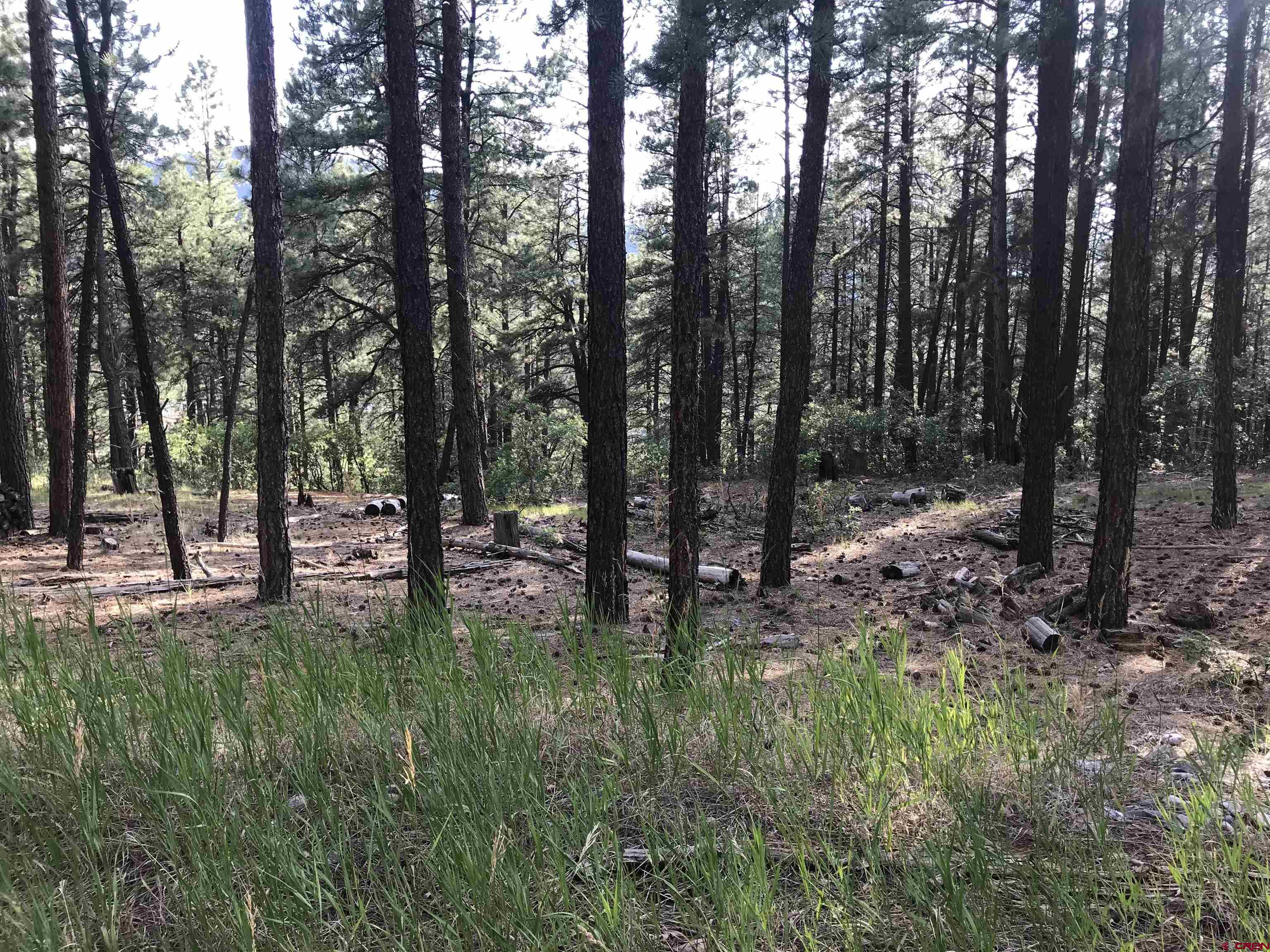 99 Pine Cone Circle Bayfield, CO 81122 - Photo 13 of 14