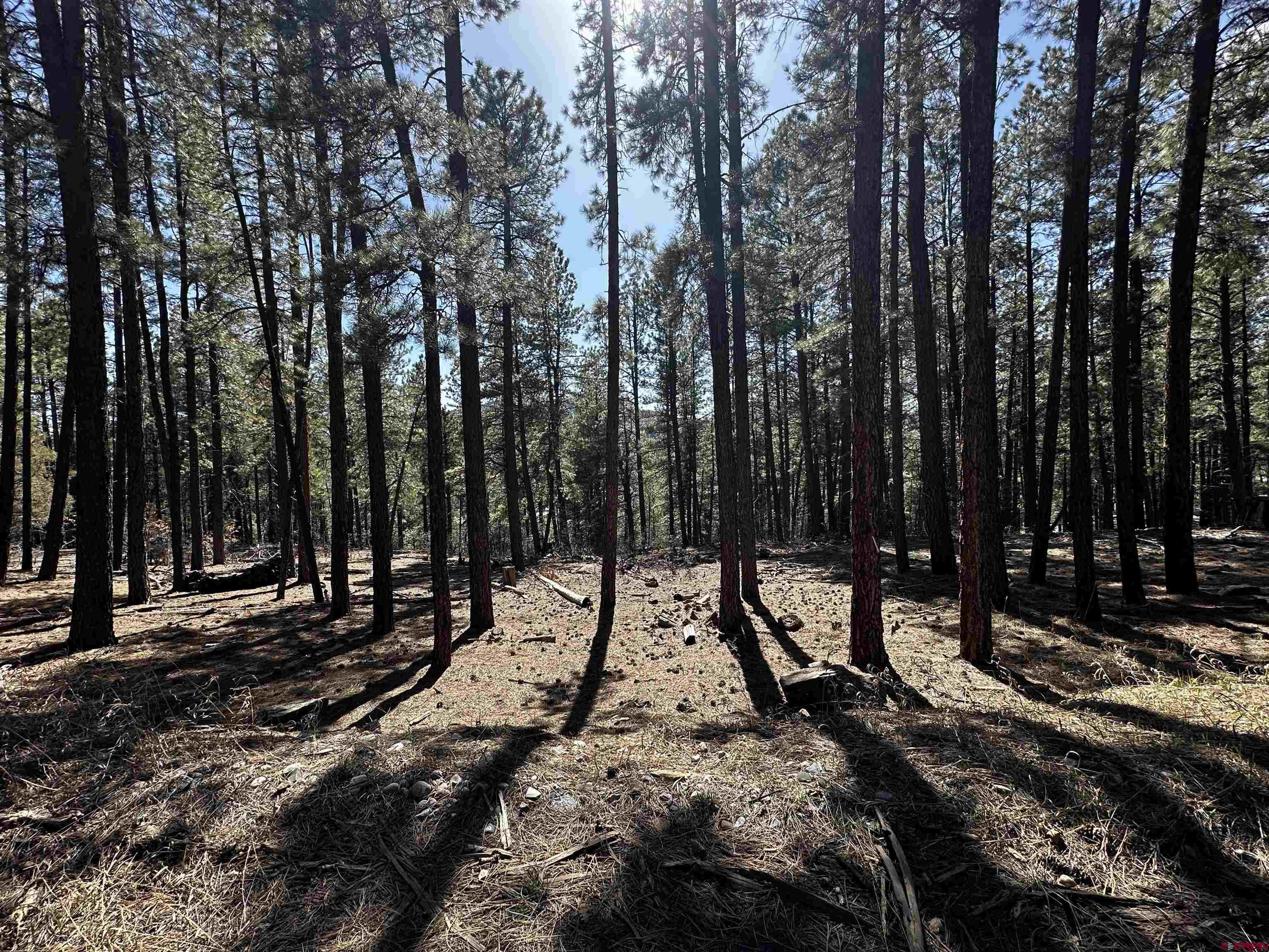 99 Pine Cone Circle Bayfield, CO 81122 - Photo 2 of 14