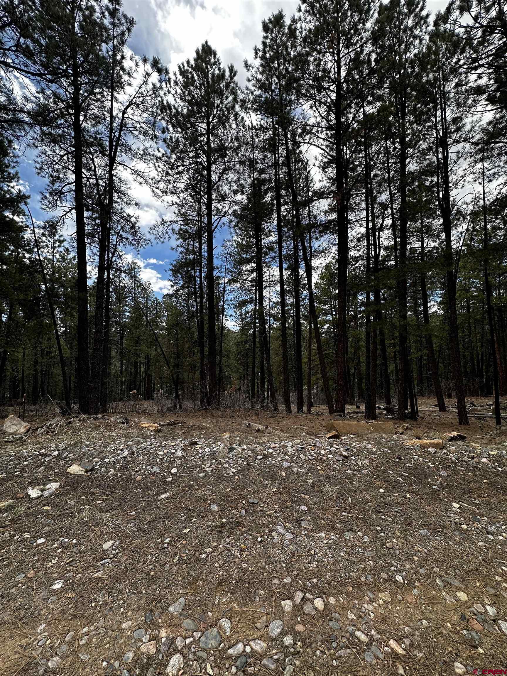 99 Pine Cone Circle Bayfield, CO 81122 - Photo 5 of 14