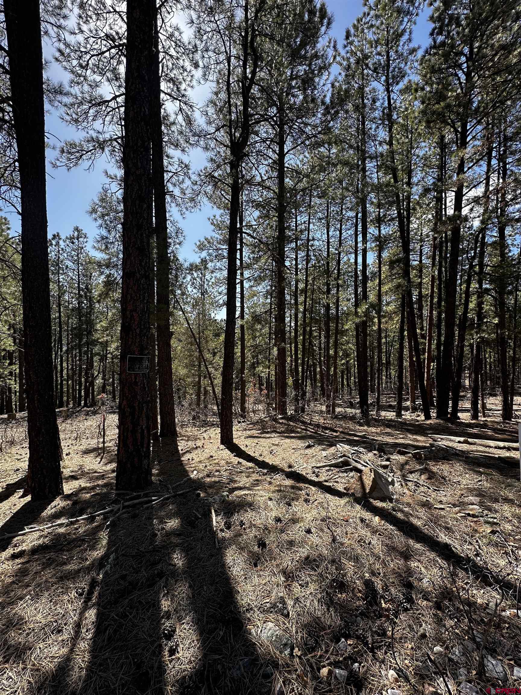 99 Pine Cone Circle Bayfield, CO 81122 - Photo 7 of 14