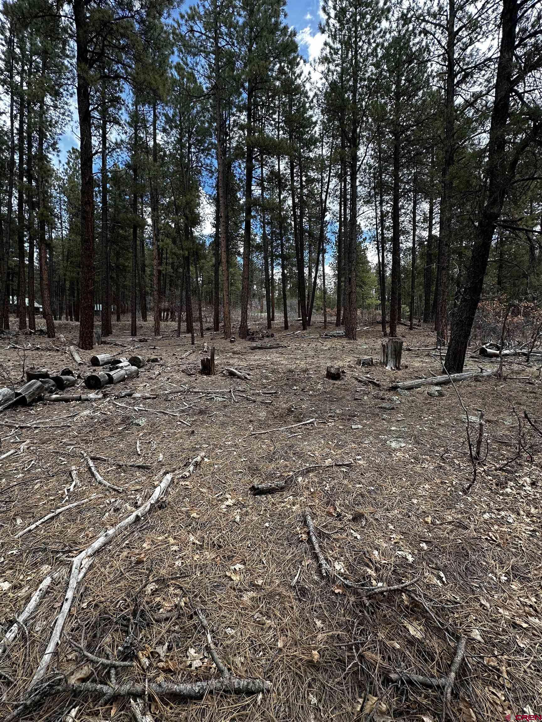 99 Pine Cone Circle Bayfield, CO 81122 - Photo 8 of 14