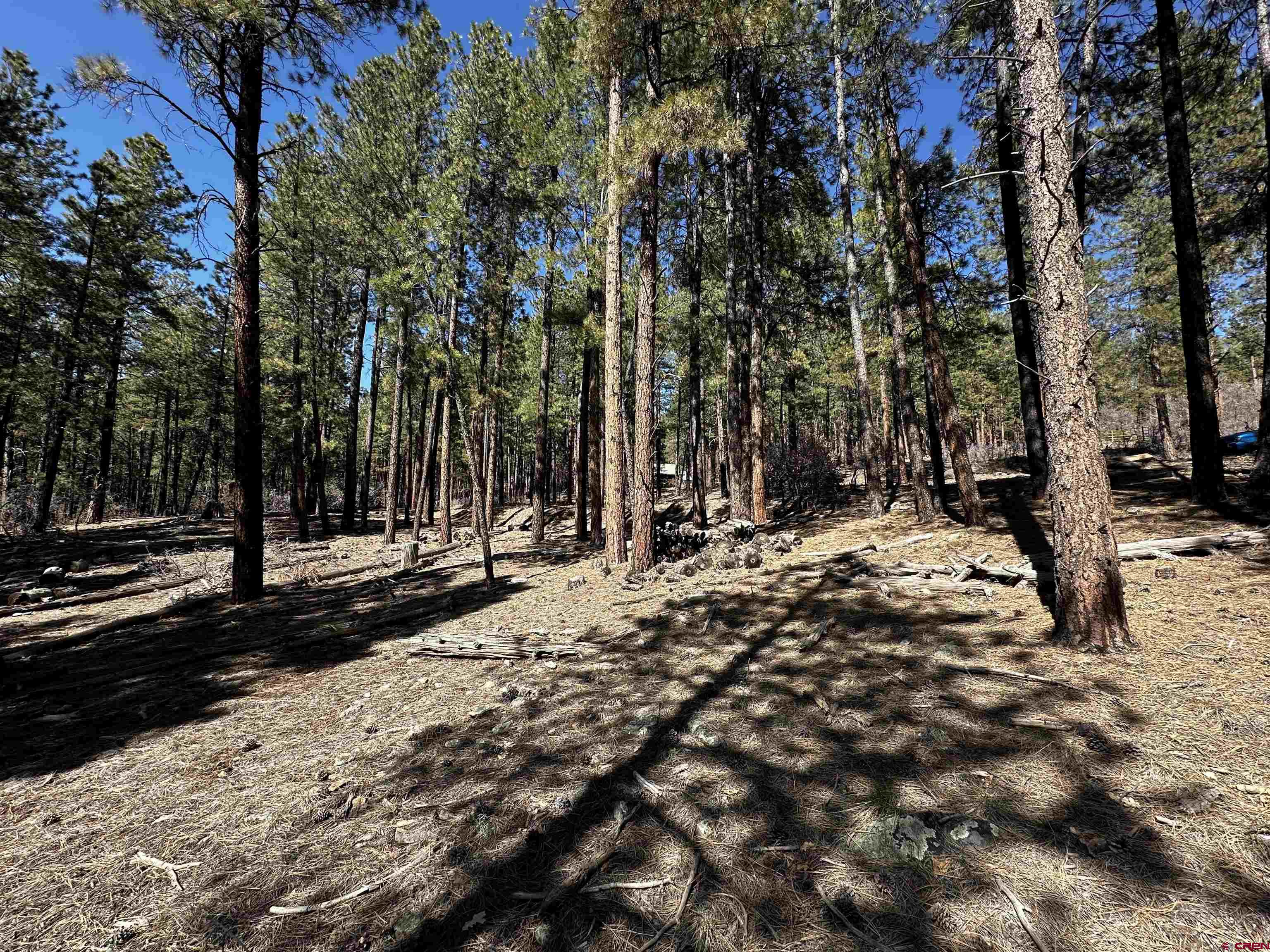 99 Pine Cone Circle Bayfield, CO 81122 - Photo 9 of 14