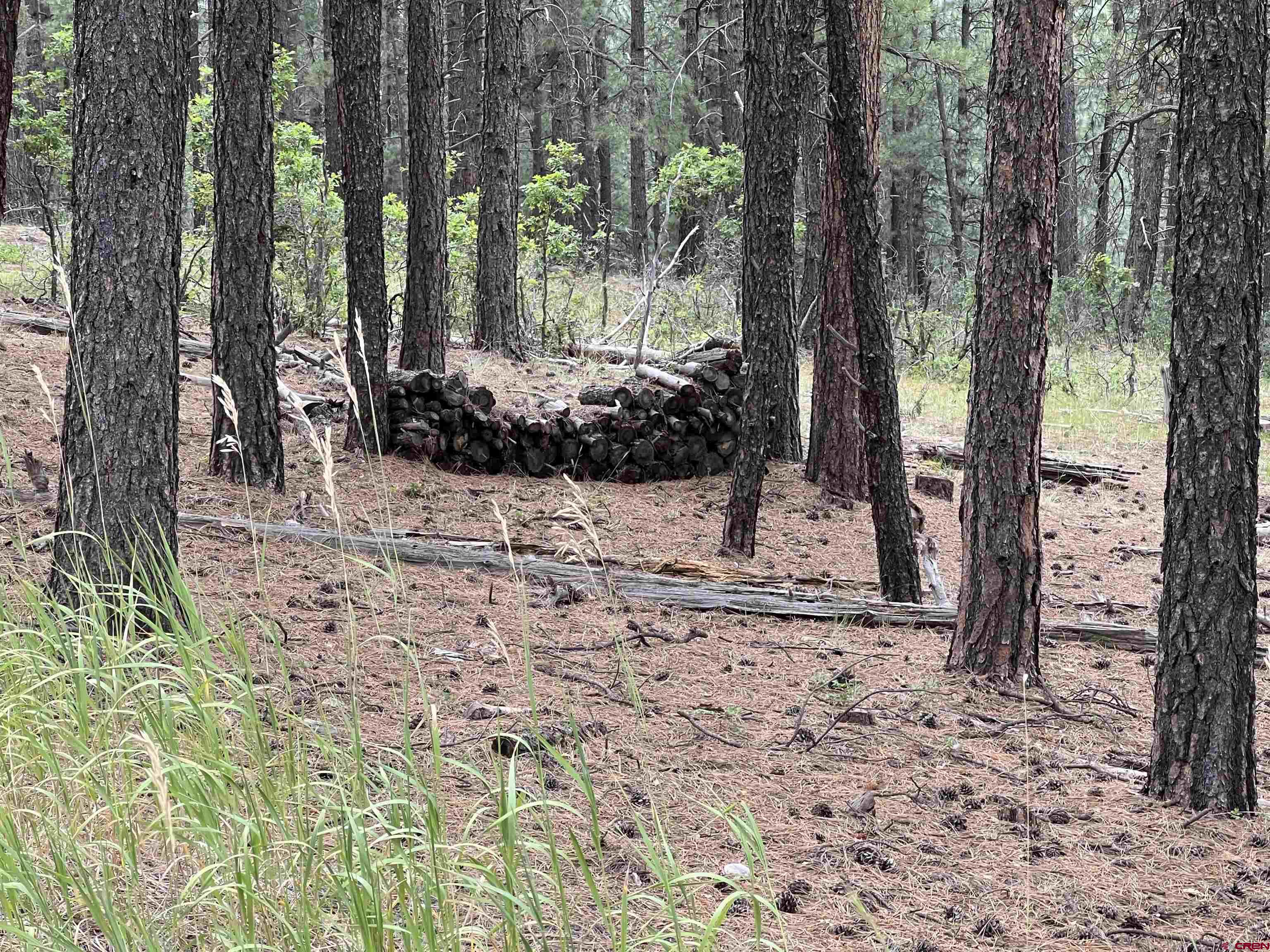 99 Pine Cone Circle Bayfield, CO 81122 - Photo 10 of 14