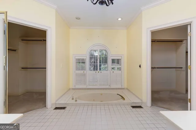 a view of a forest with a bench and trees