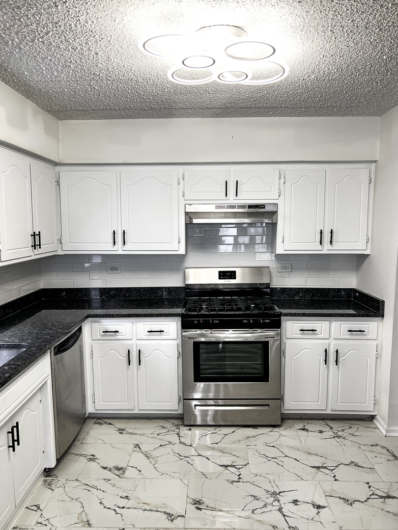 6252 South Gullikson Road, Unit 1S Chicago, IL 60638 - Photo 5 of 13 Gallery Image 5