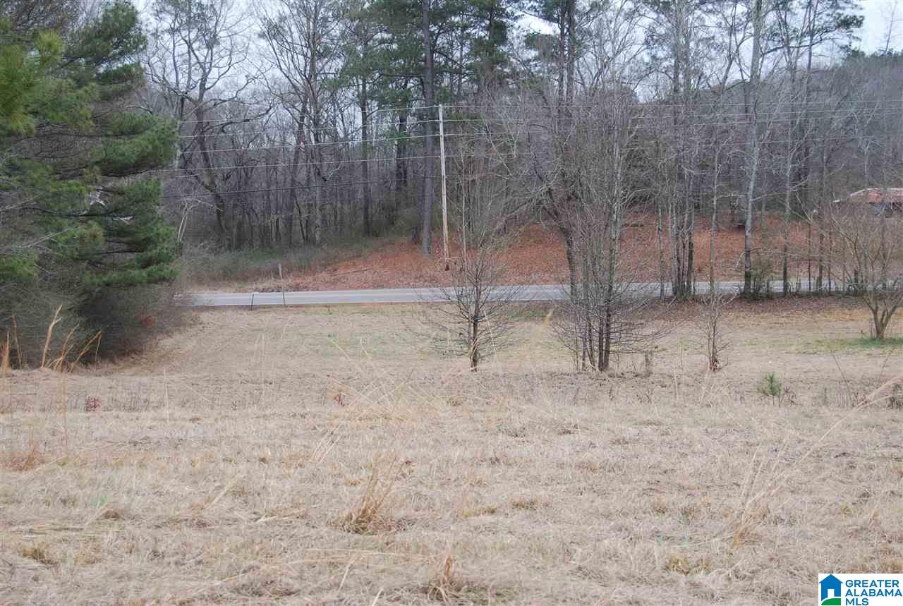 4747 Warrior Jasper Road, Unit 1 Dora, AL 35062 - Photo 4 of 9