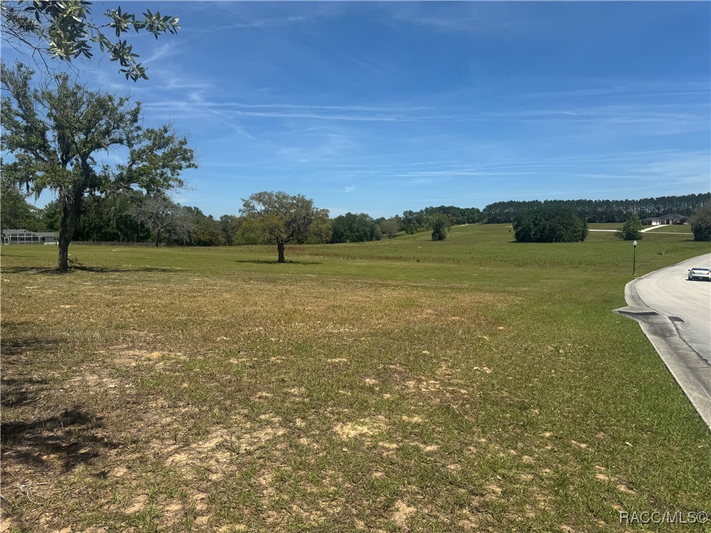 244 North Lake Shenandoah Loop Inverness, FL 34453 - Photo 23 of 26 Gallery Image 23