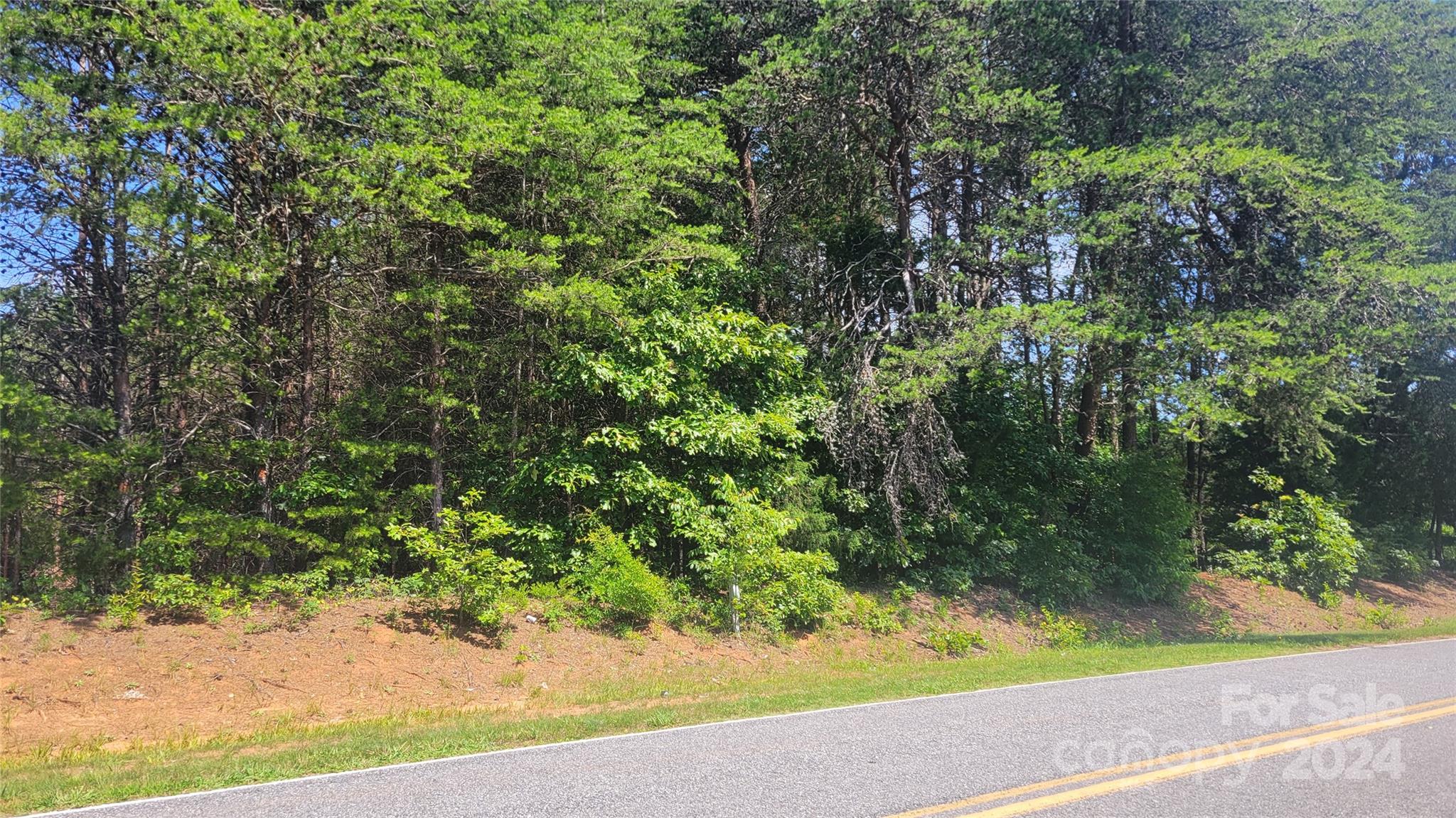 0 Ritchie Road Lincolnton, NC 28092 - Photo 3 of 10 a view of a yard with plants