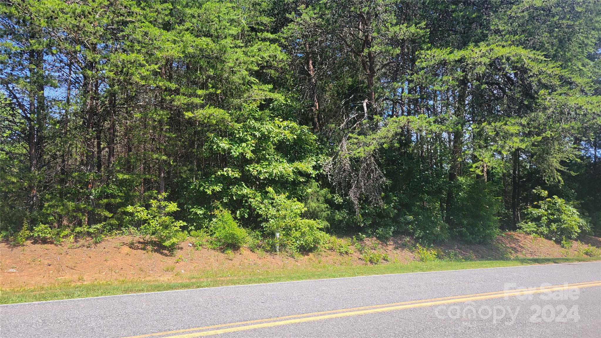 0 Ritchie Road Lincolnton, NC 28092 - Photo 8 of 10 a view of a yard and a yard